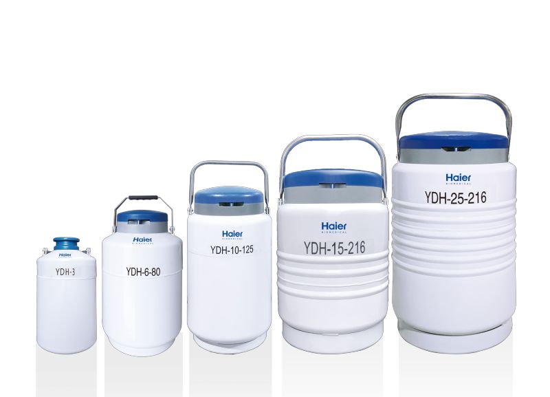 Dryshipper Series For Transportation
